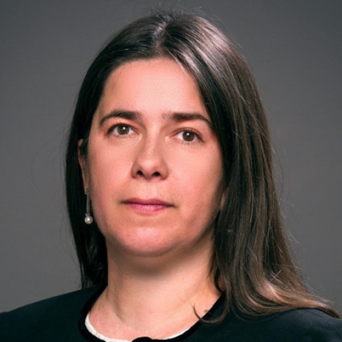 Dominic Fritz răspunde criticilor PSD privind propunerea Roxanei Rizoiu