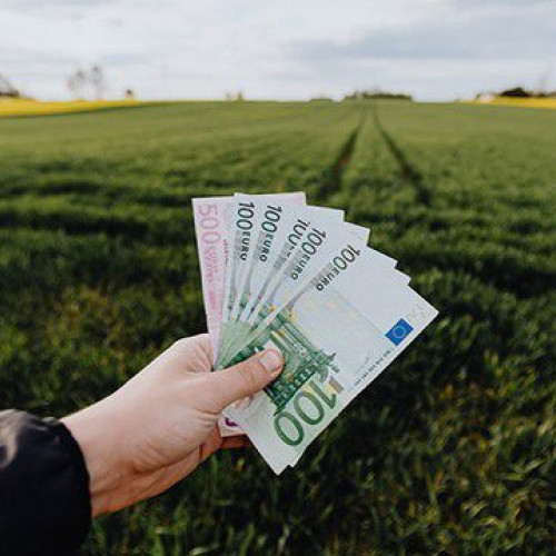 Beneficiarii rentei viagere agricole trebuie să obțină viza anuală