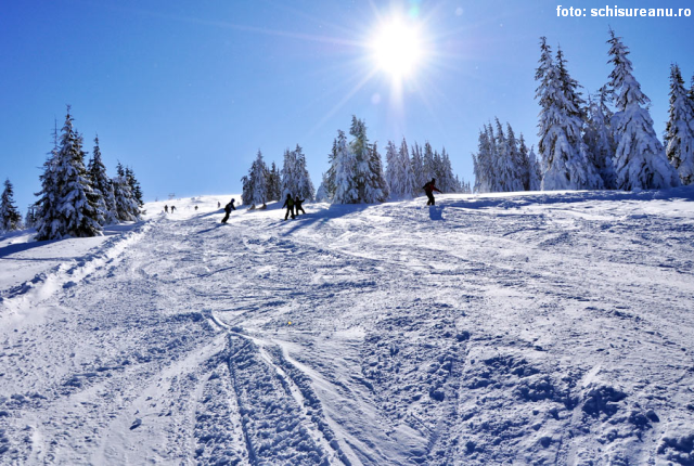 Tânăr din Zalău salvat de jandarmii montani după ce s-a rătăcit în zăpadă