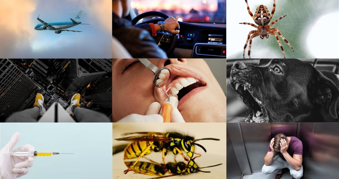 Ontwerp zonder titel