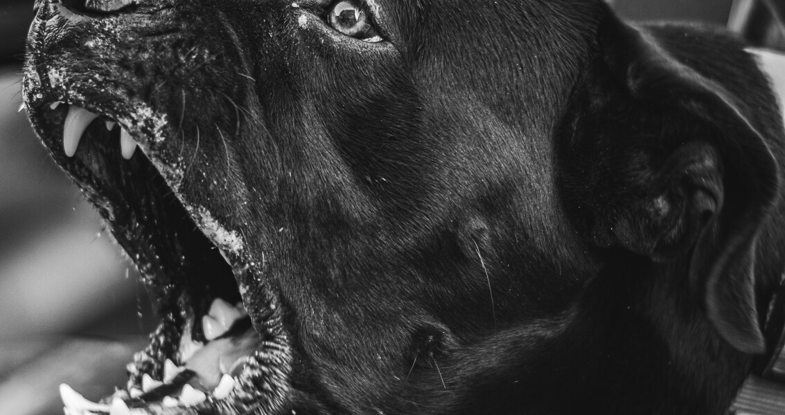 artistic-frames-_h2saWr-LXo-unsplash