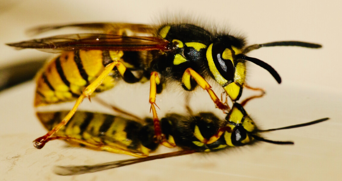 james-wainscoat-hwjeMWrVoDY-unsplash