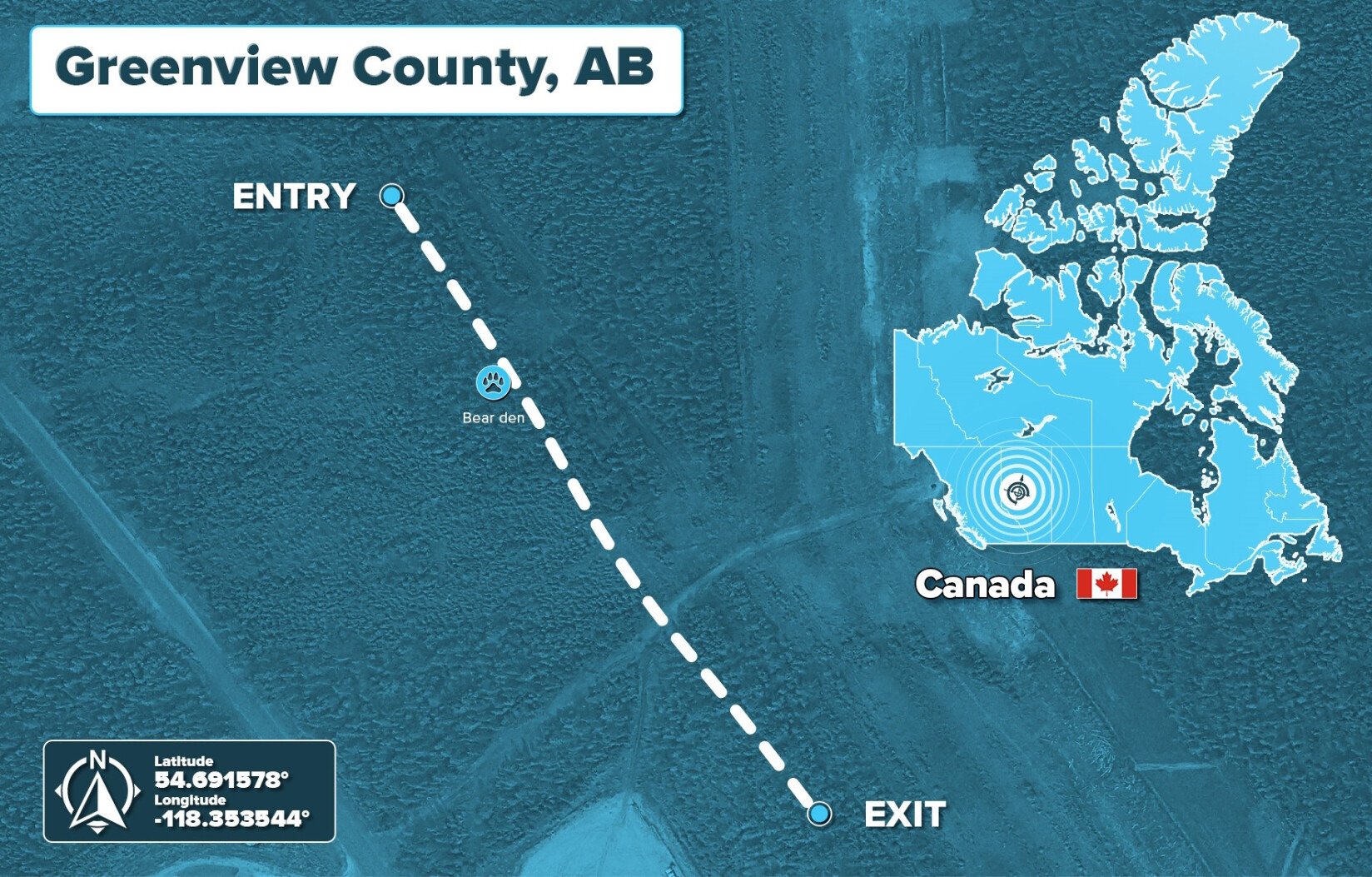 Brownline Drillguide GST bear crossing no disturbance