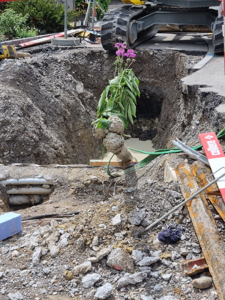 PHOTO-2025-05-23-13-11-00