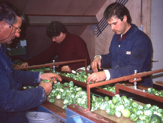 AB Zuid-Holland viert 65-jarig jubileum!