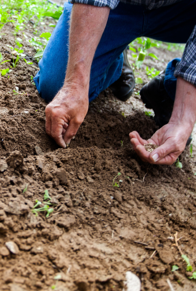 Production Worker Plants