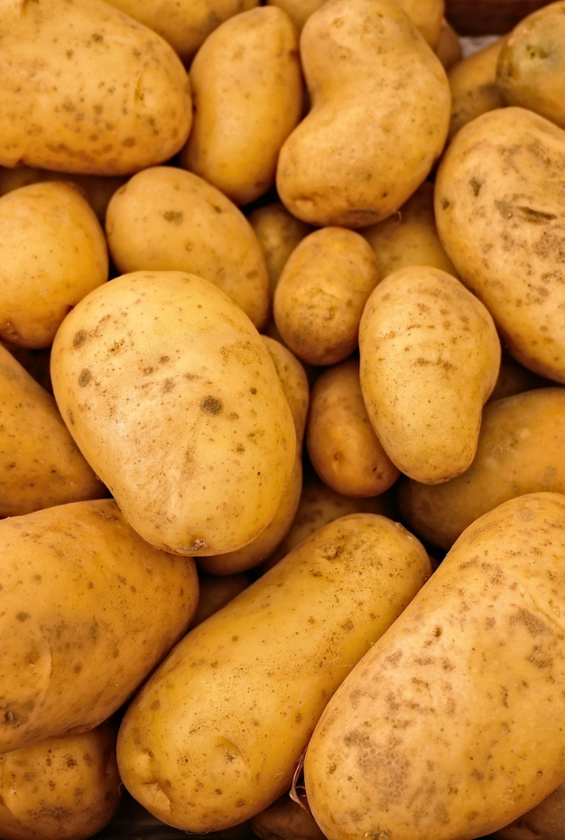 Allround Agrarisch Medewerker