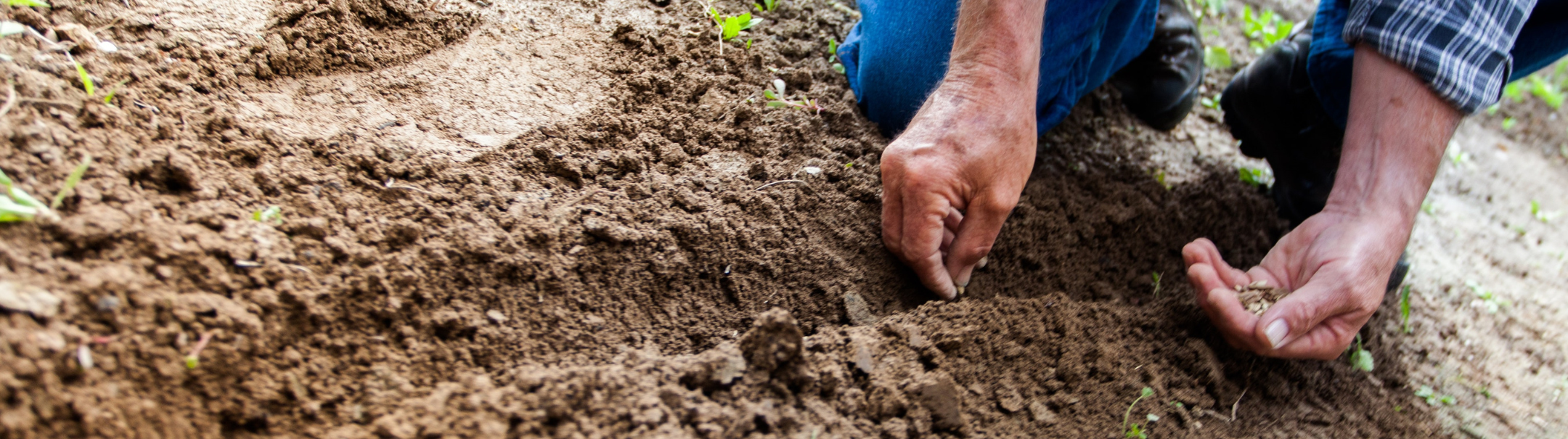 Production Worker Plants