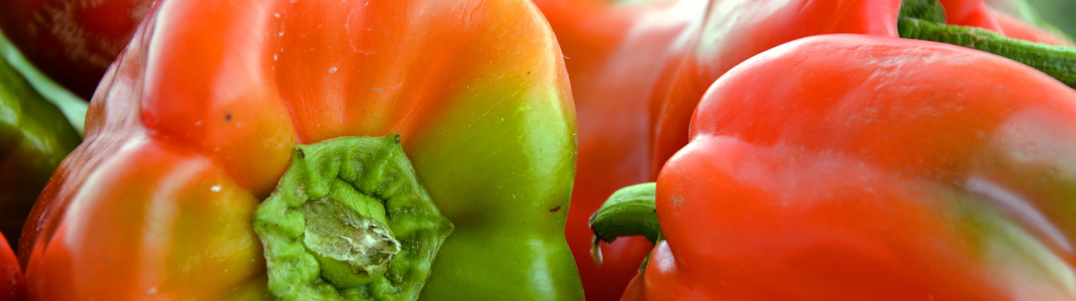 Tuinbouwmedewerker Demokas