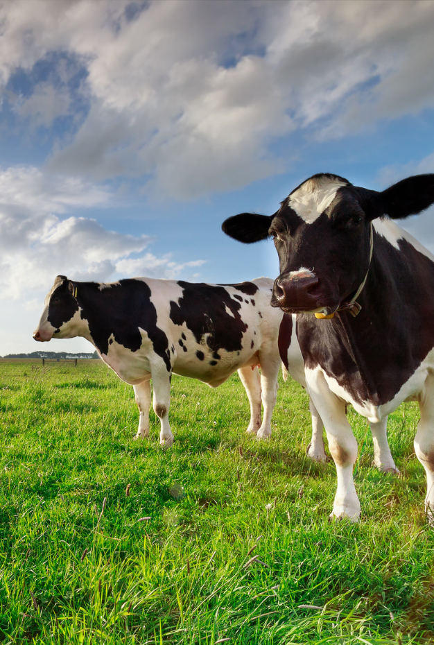 Vakkracht Agrarisch Medewerker
