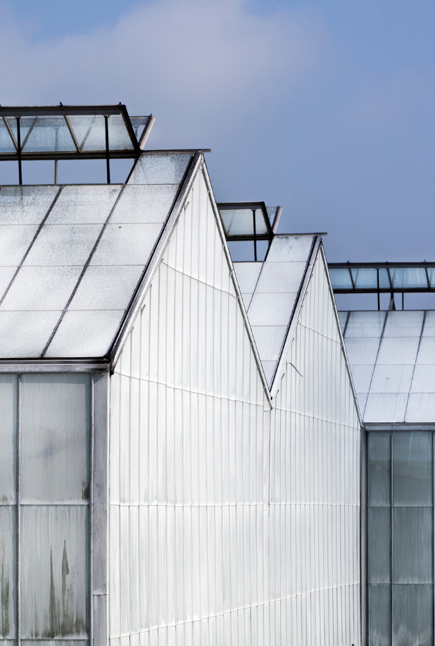 Operations Assistant