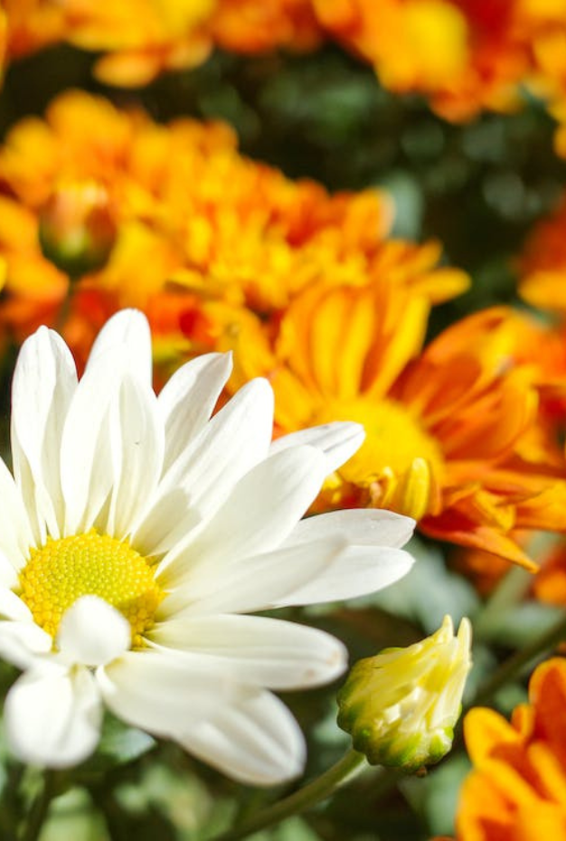 Pracownik produkcji (parttime)