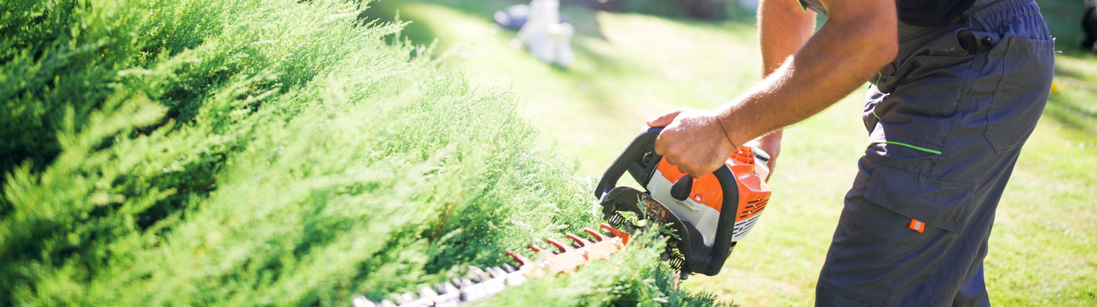 Hovenier Groot Groen