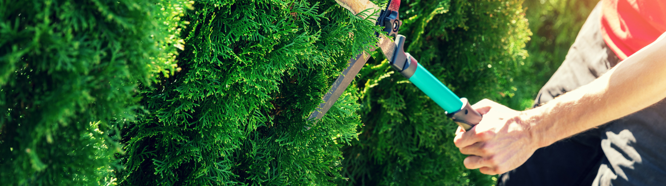 Meewerkend Voorman/vrouw Groen