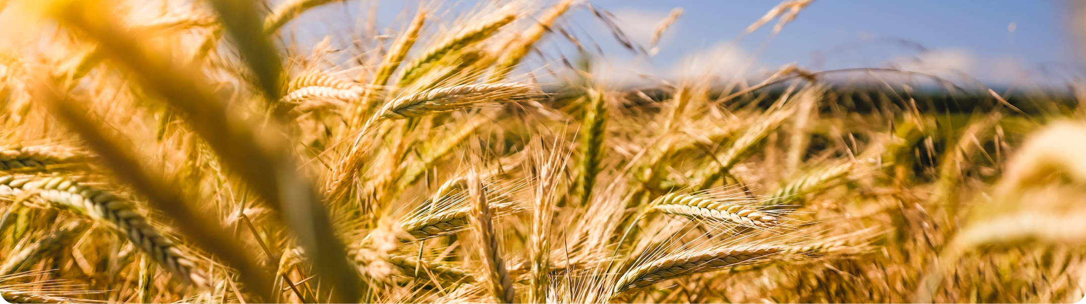 Parttime Teeltmedewerker Onderzoek