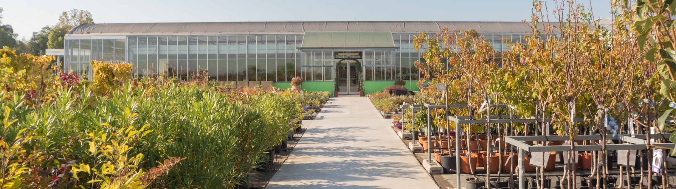 Kwekerij Assistent Logistiek en Plantverzorging