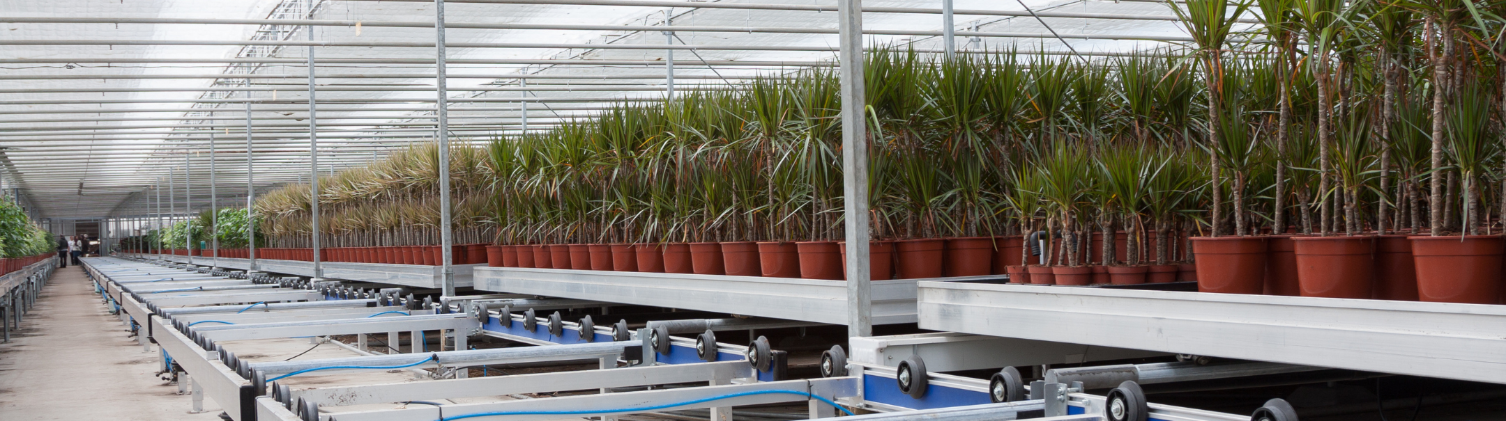 Plant Nursery Worker