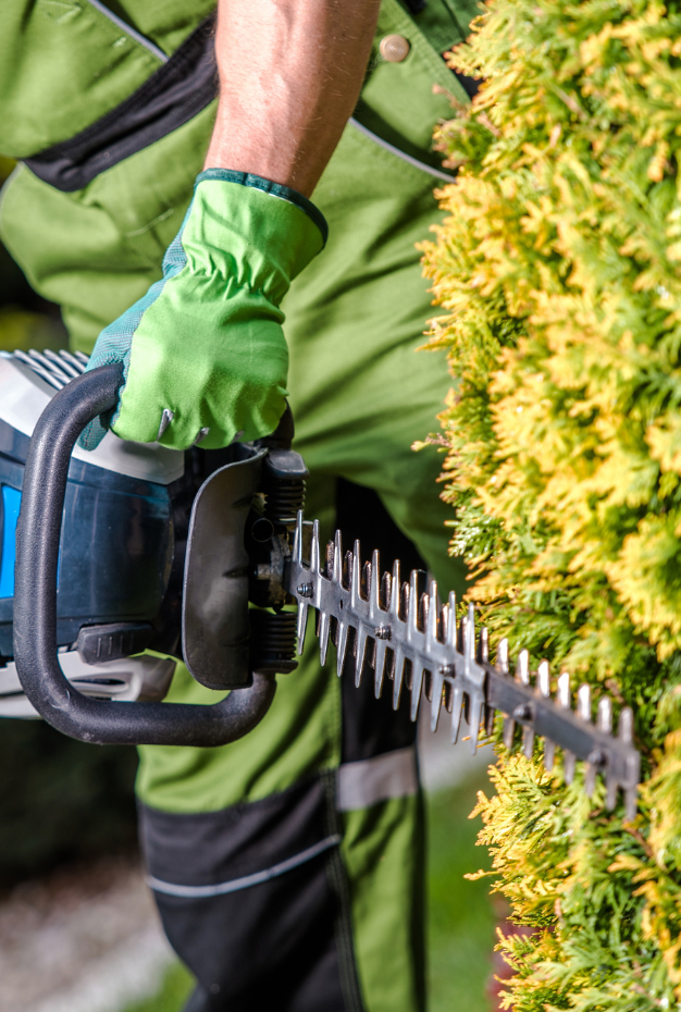 Groenonderhoud Medewerker