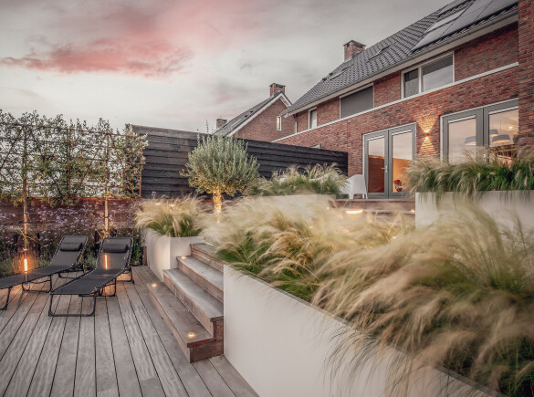 Top 5 tuintrends 2024