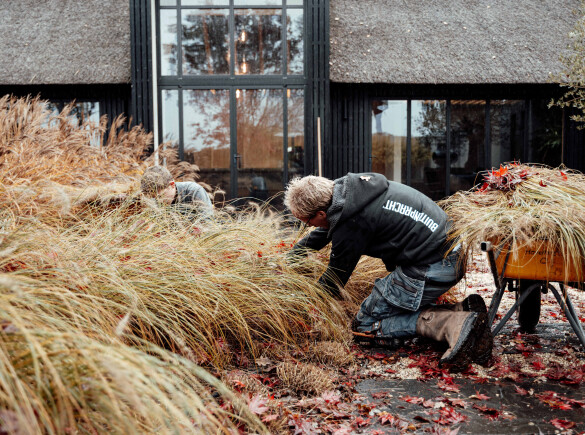 Uw tuin winterklaar maken