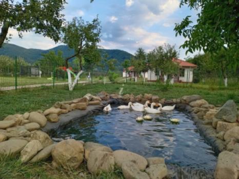 Casa de vacanță Desculti Prin Iarba