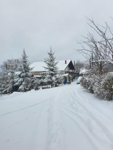 Casa Sofia și Ștefan