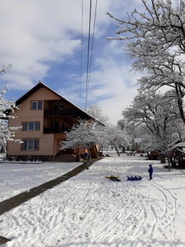 Vila Delia & Ionuț