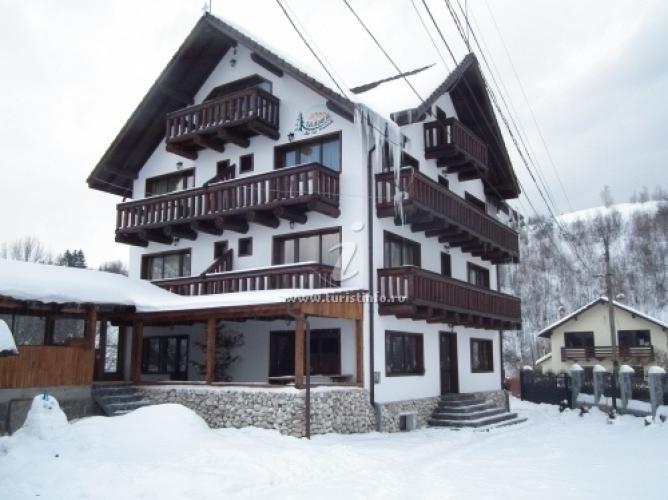 Vila Brăduțul de la munte