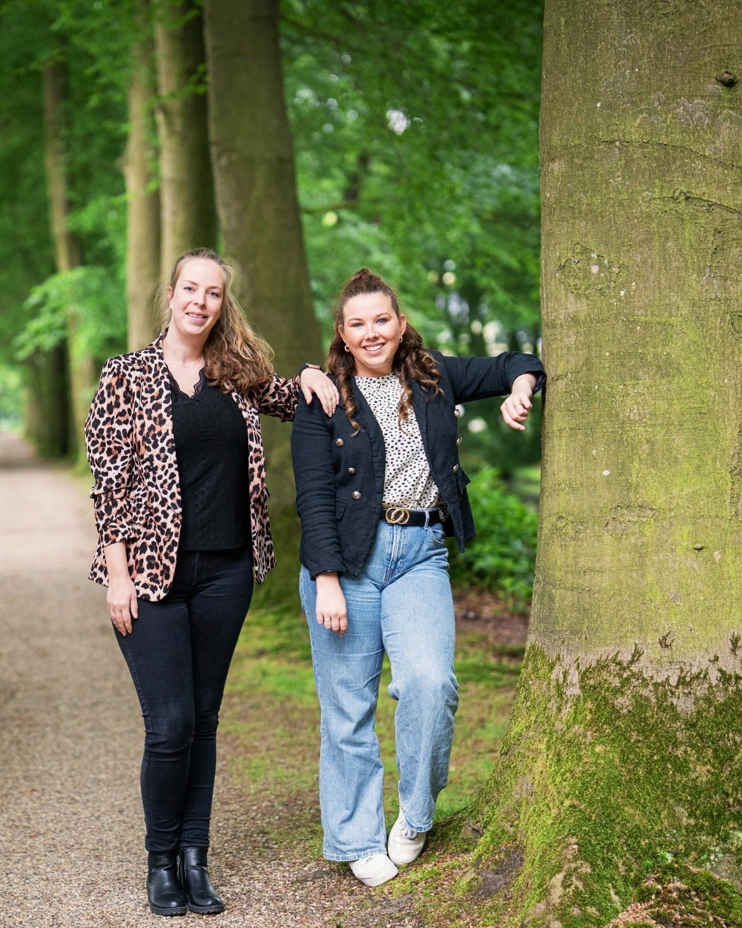 CEREO BackOffice team