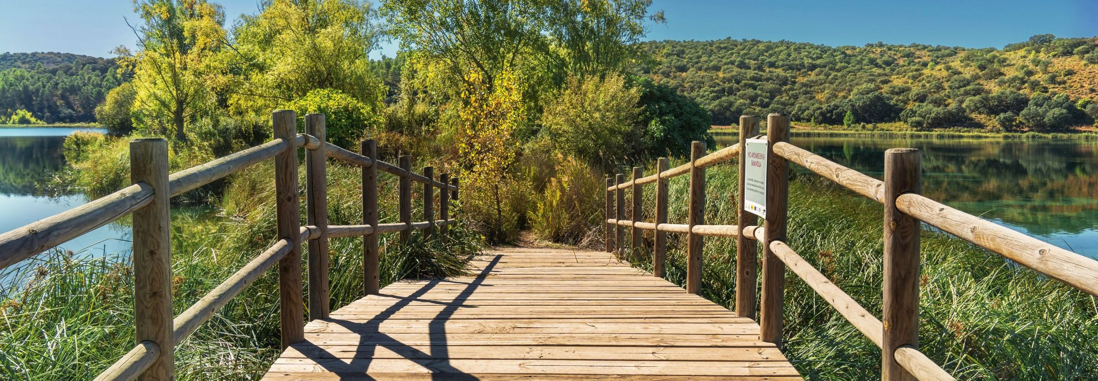 CEREO inspiratiebeeld  samenwerken