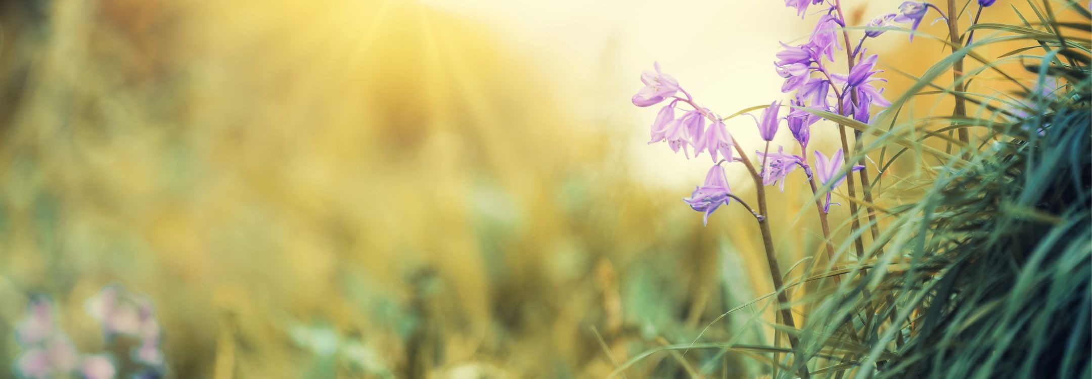 CEREO inspiratiebeeld  ontwikkeling werknemers