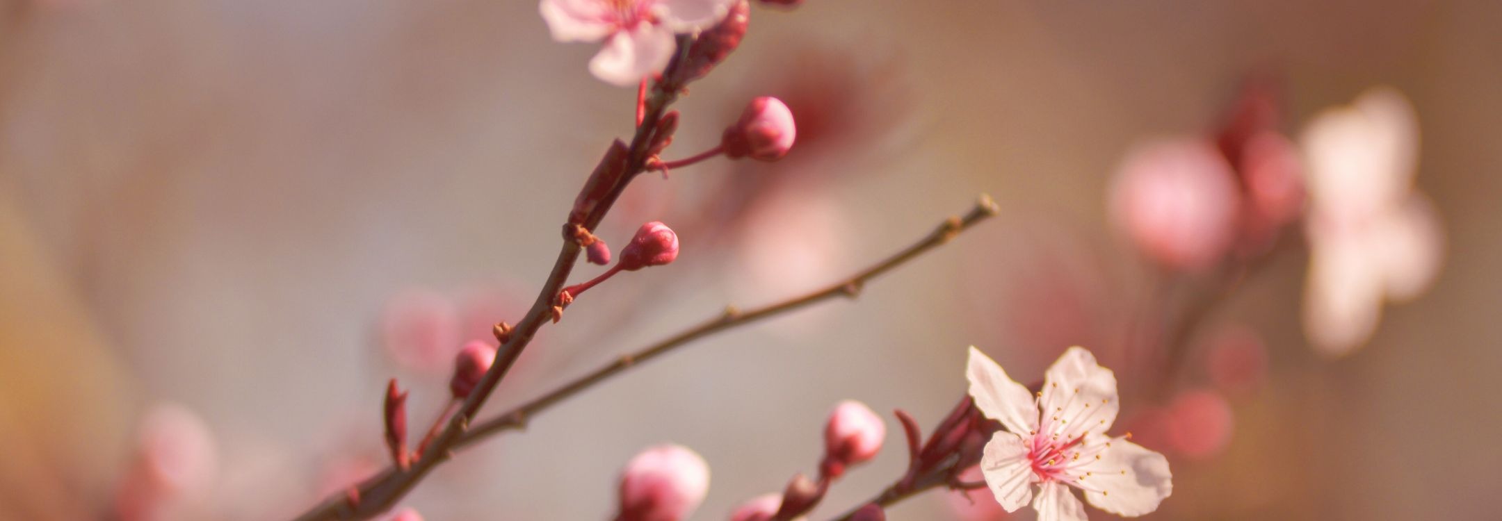 CEREO inspiratiebeeld groei werknemers