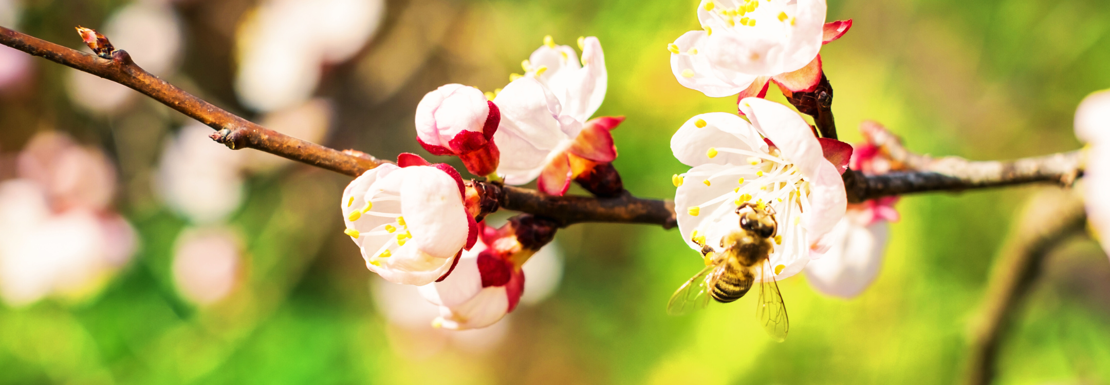 CEREO inspiratiebeeld  duurzame inzetbaarheid