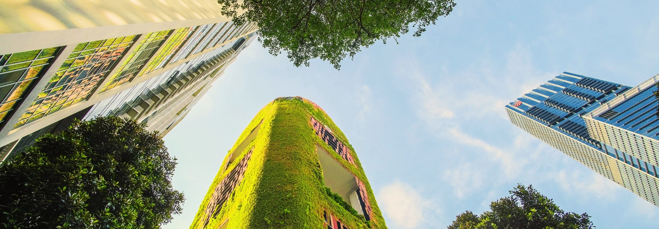 CEREO inspiratiebeeld  organisatiegroei