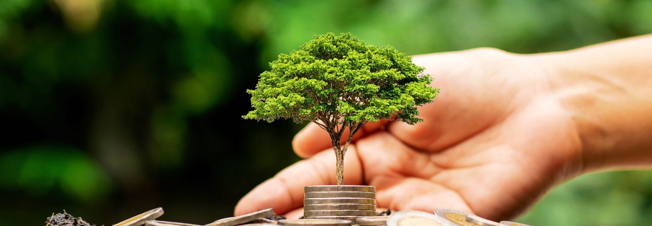 CEREO inspiratiebeeld duurzame inzetbaarheid