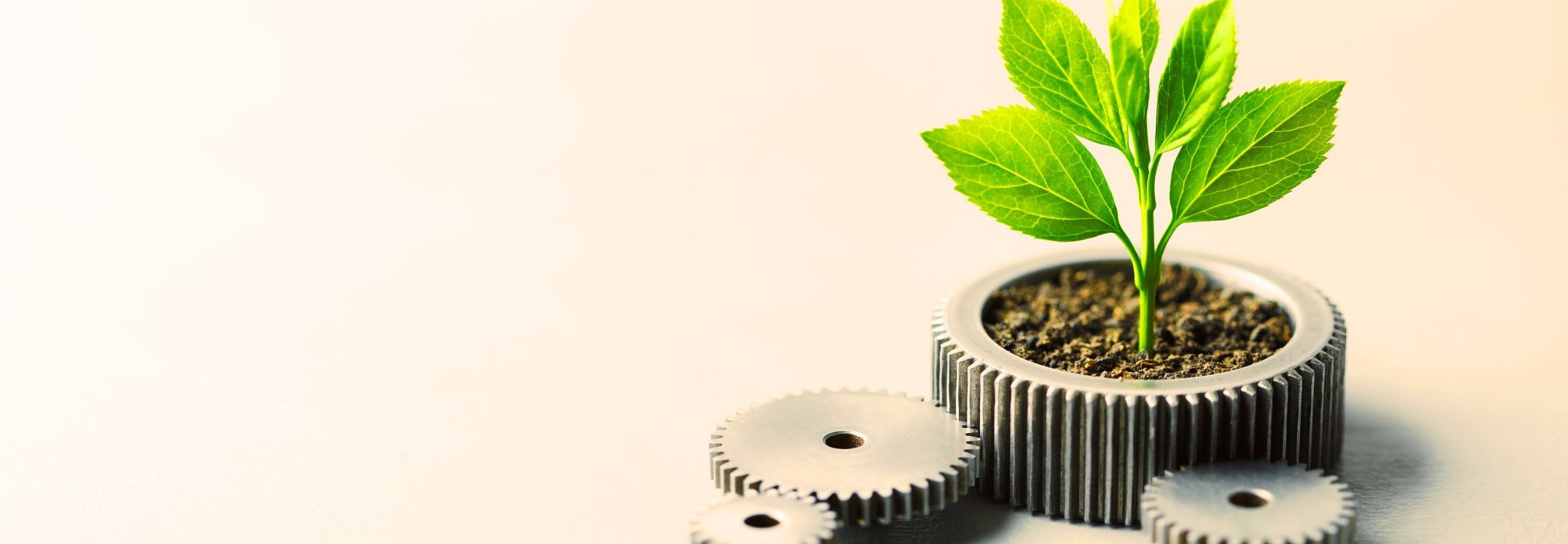 CEREO inspiratiebeeld duurzame inzetbaarheid