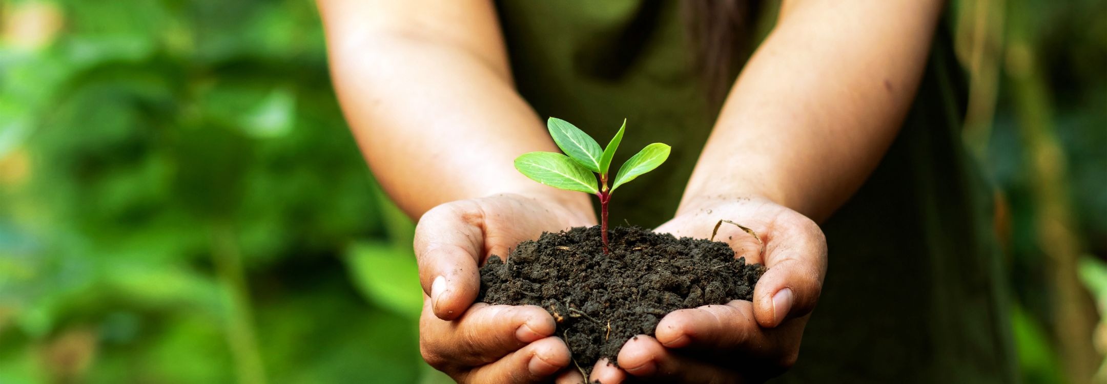 CEREO inspiratiebeeld  organisatiegroei