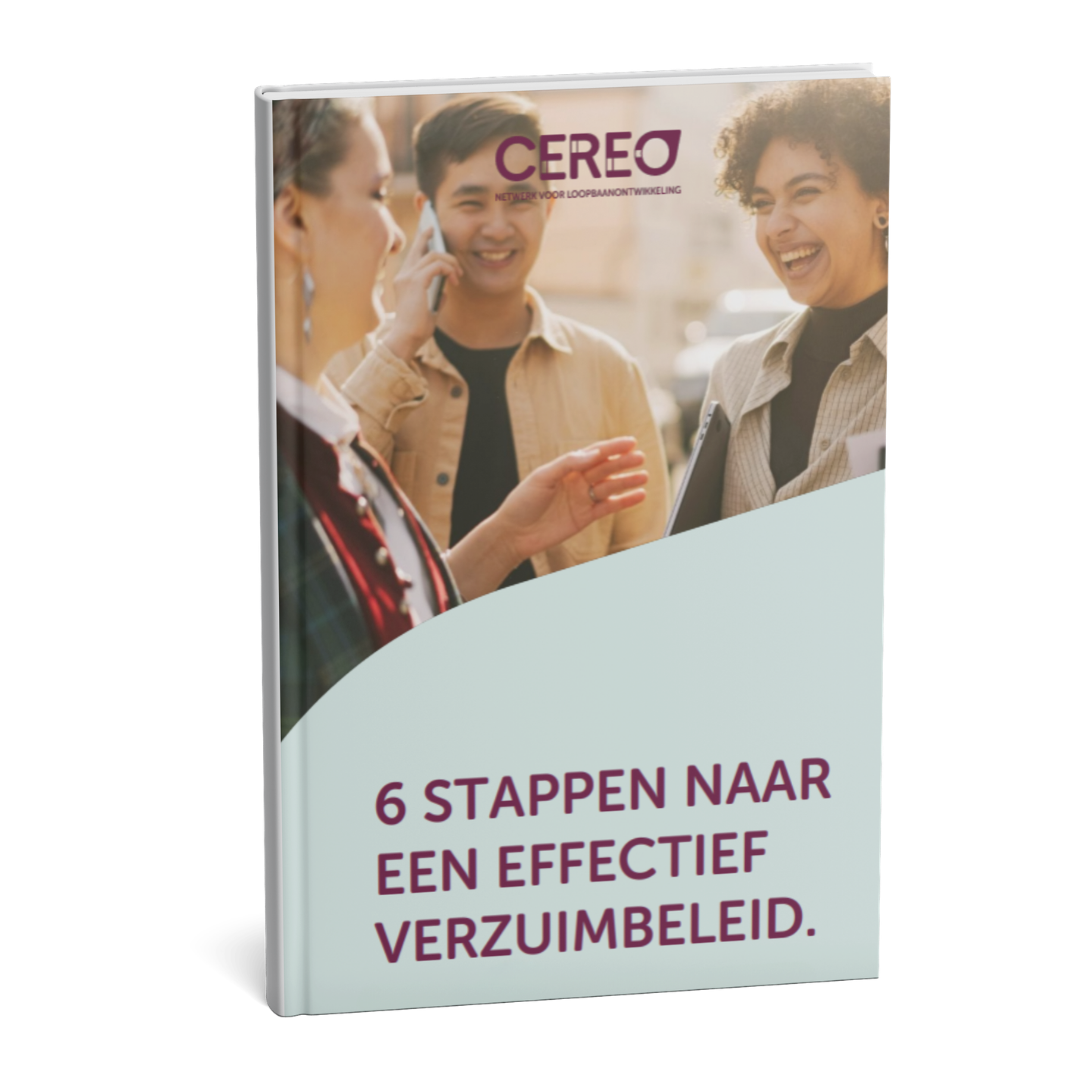 MockUp Ebook verzuimbeleid