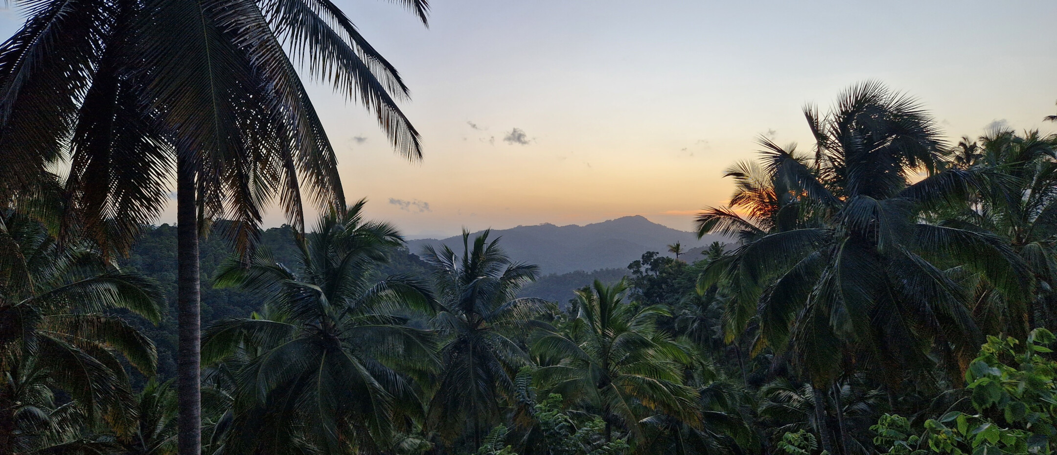 1cff18aadcdc5ebd68dec69e5fe5f8f0