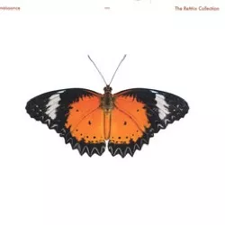 Age Of Love — The Age Of Love