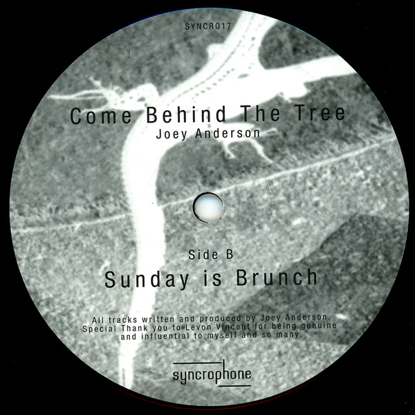 Joey Anderson — Come Behind The Tree
