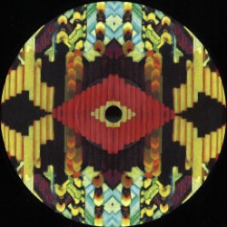 Ry & Frank Wiedemann — Howling (Ame Remix)(Single Sided)