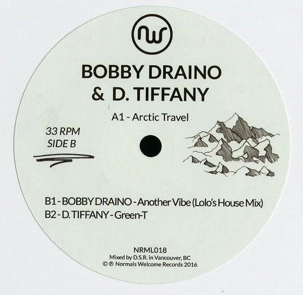 Bobby Draino & D. Tiffany — Arctic Travel
