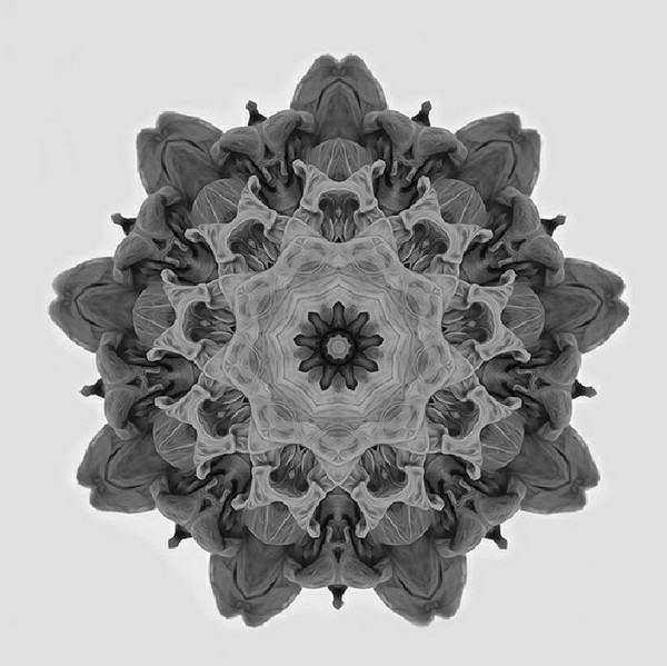 Moi — 05