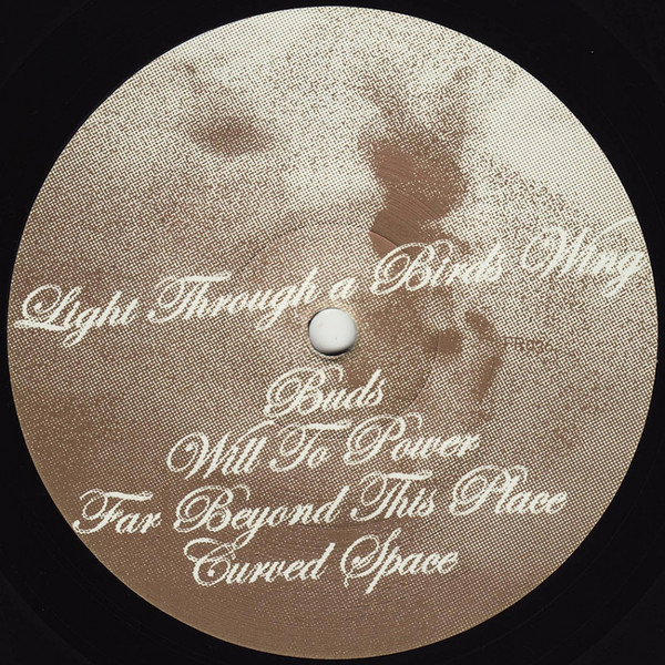 Reedale Rise — Light Through A Birds Wing