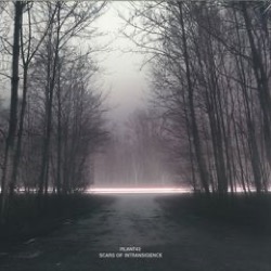 Plant43 — Scars Of Intransigence