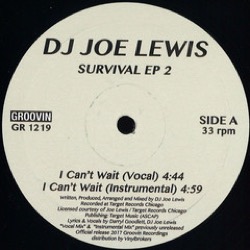DJ Joe Lewis — Survival EP 2