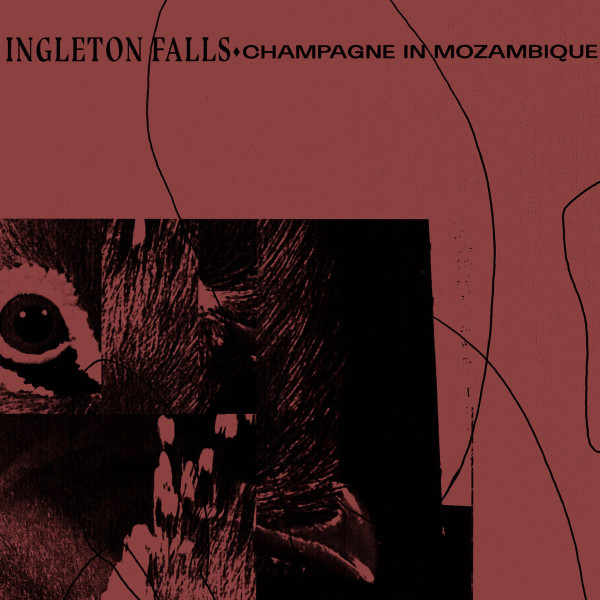 Ingleton Falls — Champagne In Mozambique
