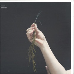 Umwelt — Ecopoiesis