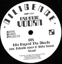 Orlando Voorn — Diligence